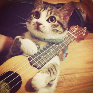 中国人做爱Z0Z0ZOZO
