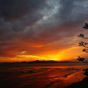 中国人做爱Z0Z0ZOZO
